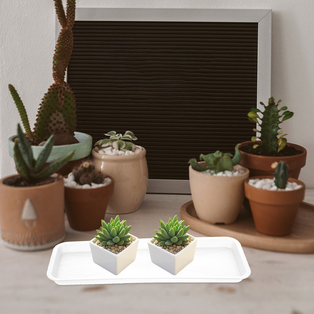 Drip Tray Saucer - 5Pcs Rectangular Shallow Plant Tray Light