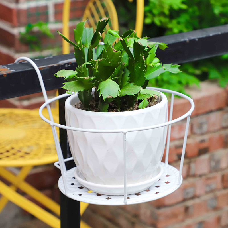 1PC Gardening Pots Outdoor Win - огляд і ціна Bonsai Garden Art