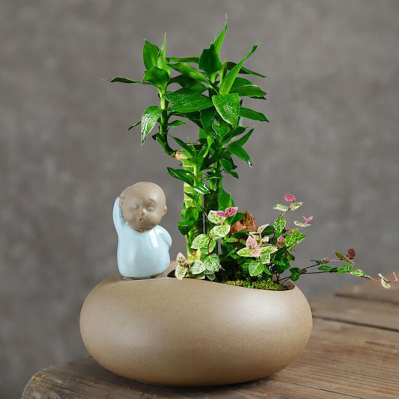 Chinese Style Retro Ceramic Mo - огляд і ціна Bonsai Garden Art