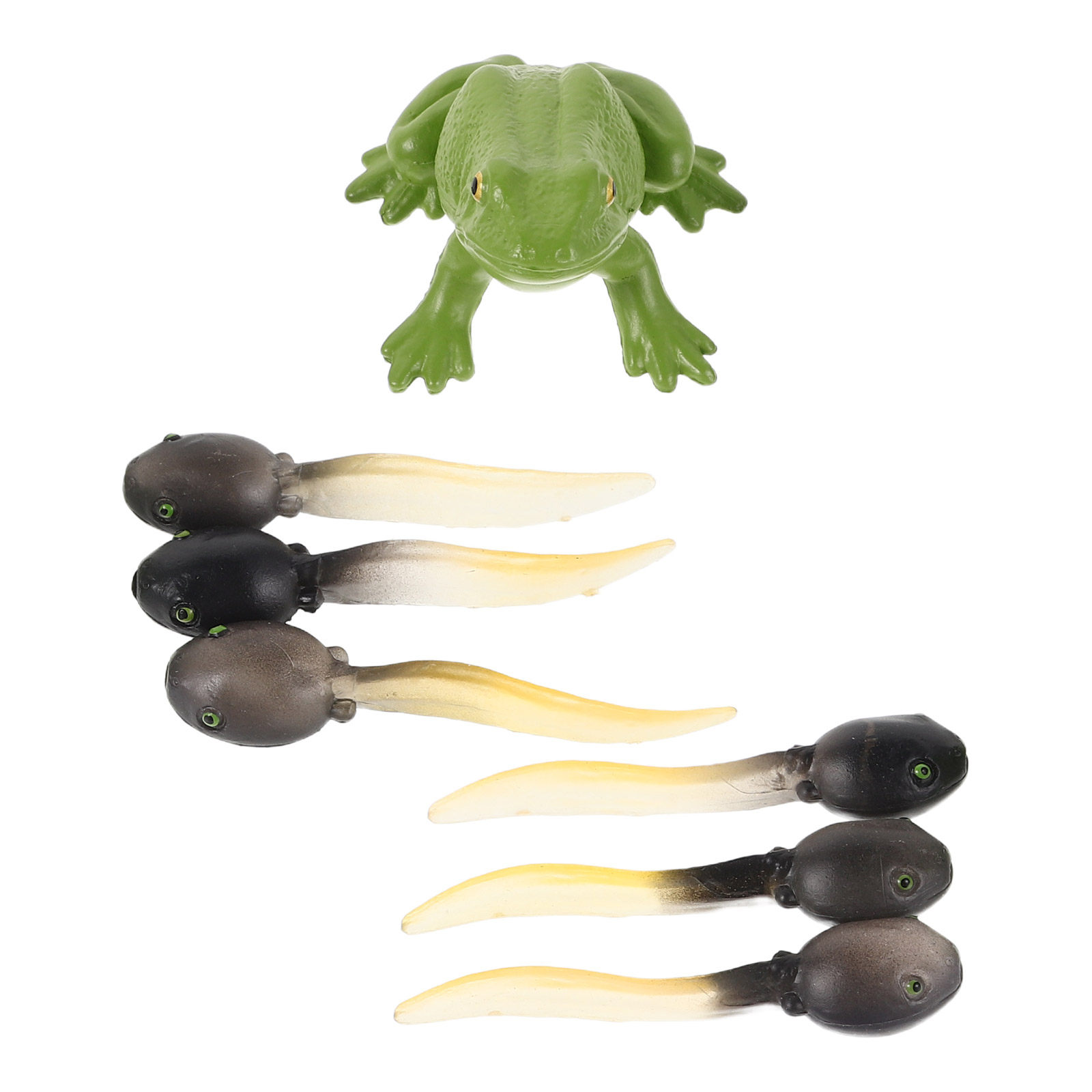1Set Detailed Mini Frog Statue - огляд і ціна Bonsai Garden Landscape Design
